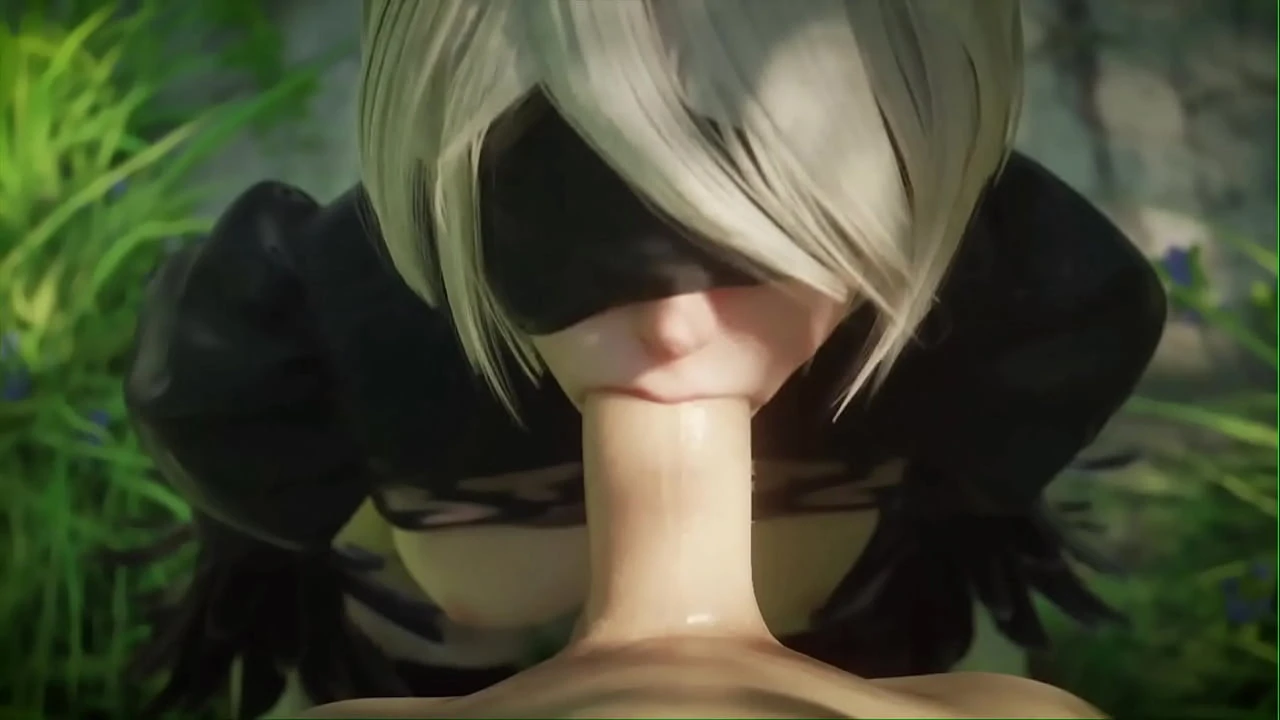 2B Pov Compilation