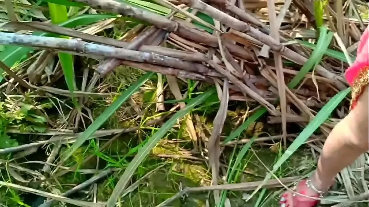 Brother in law took the native plain clothed sister in law behind the bush of the forest and fucked her
