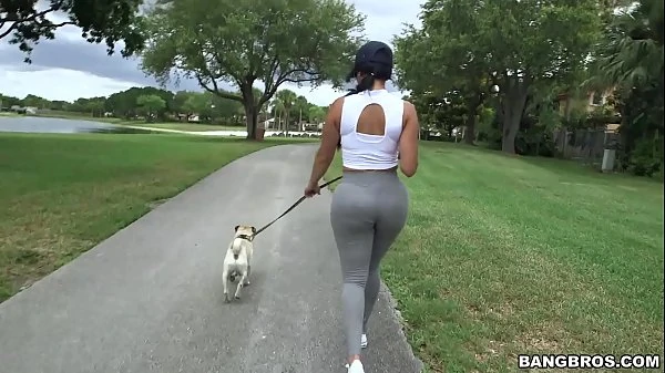 Diamond Kitty Arrives at Anal City ma