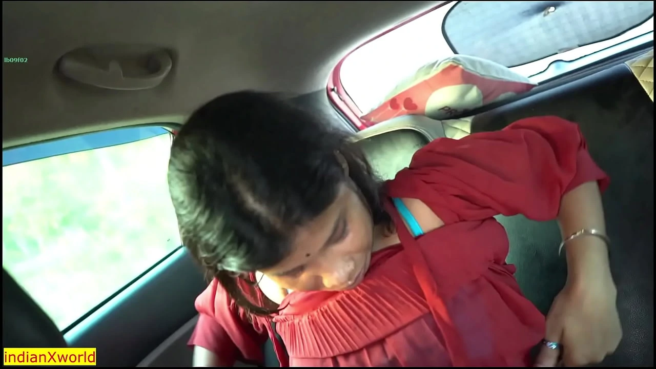 Fucking Indian Girlfriend inside the Car Hot Desi Dating