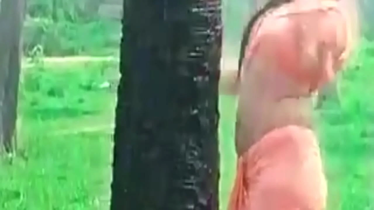 Kerala Girl Meghana Raj Hot Ass Shake and Navel Show in Wet Saree
